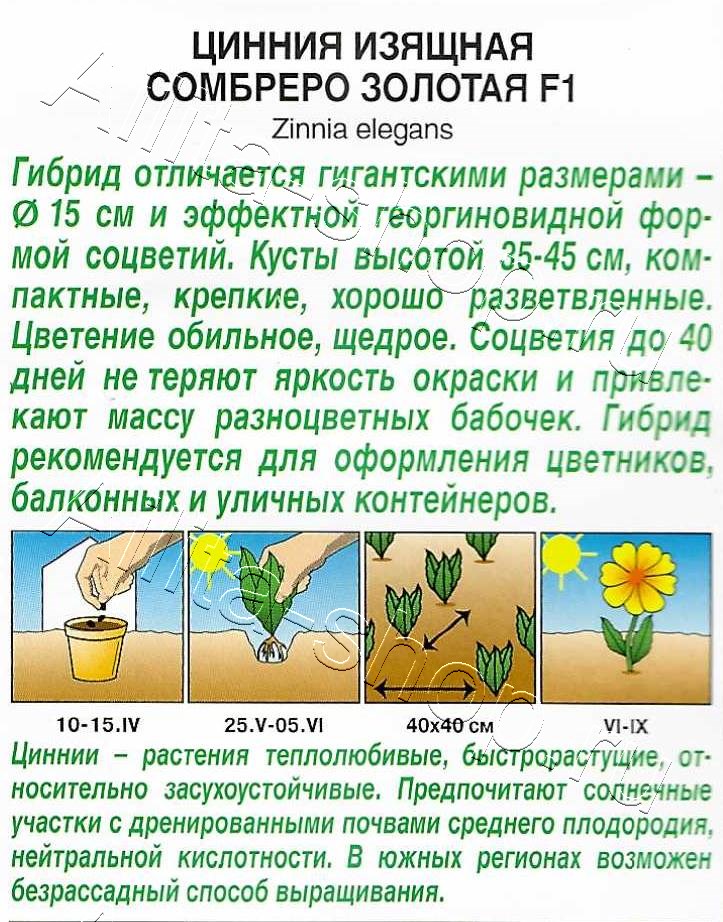 Цинния Сомбреро F1 золотая 12шт