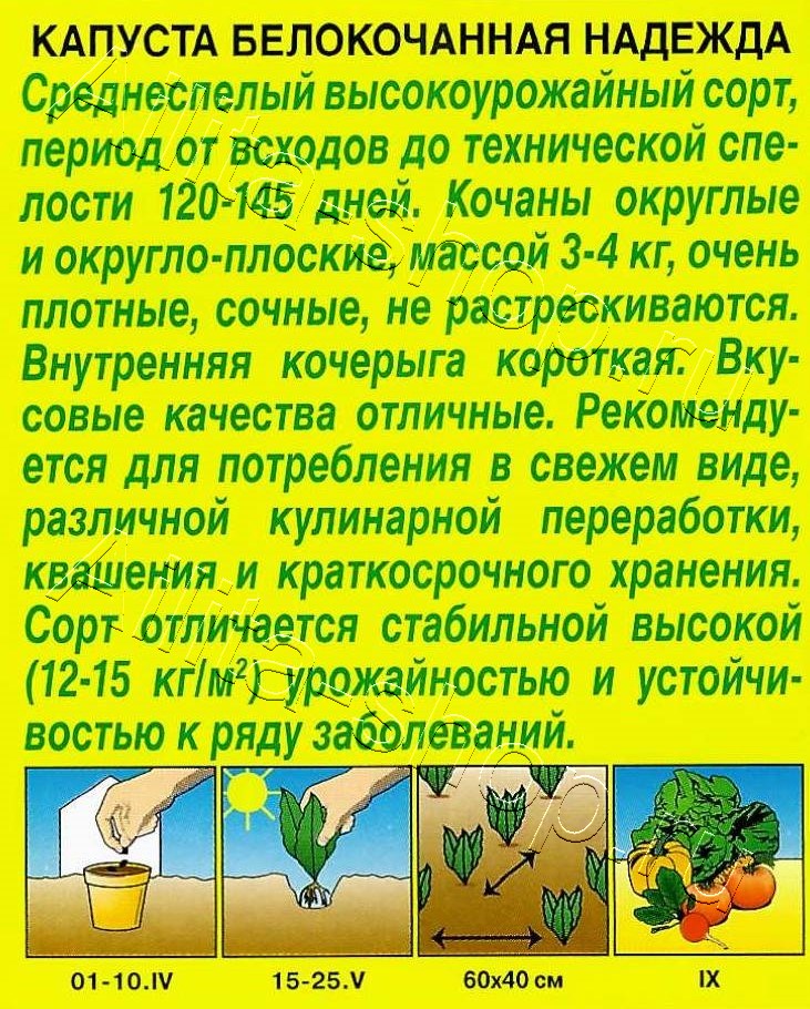 Капуста белокочанная Надежда 0,5г