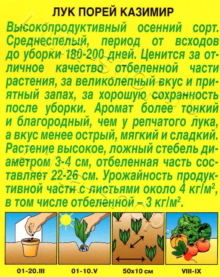 Лук порей Казимир 0,5г