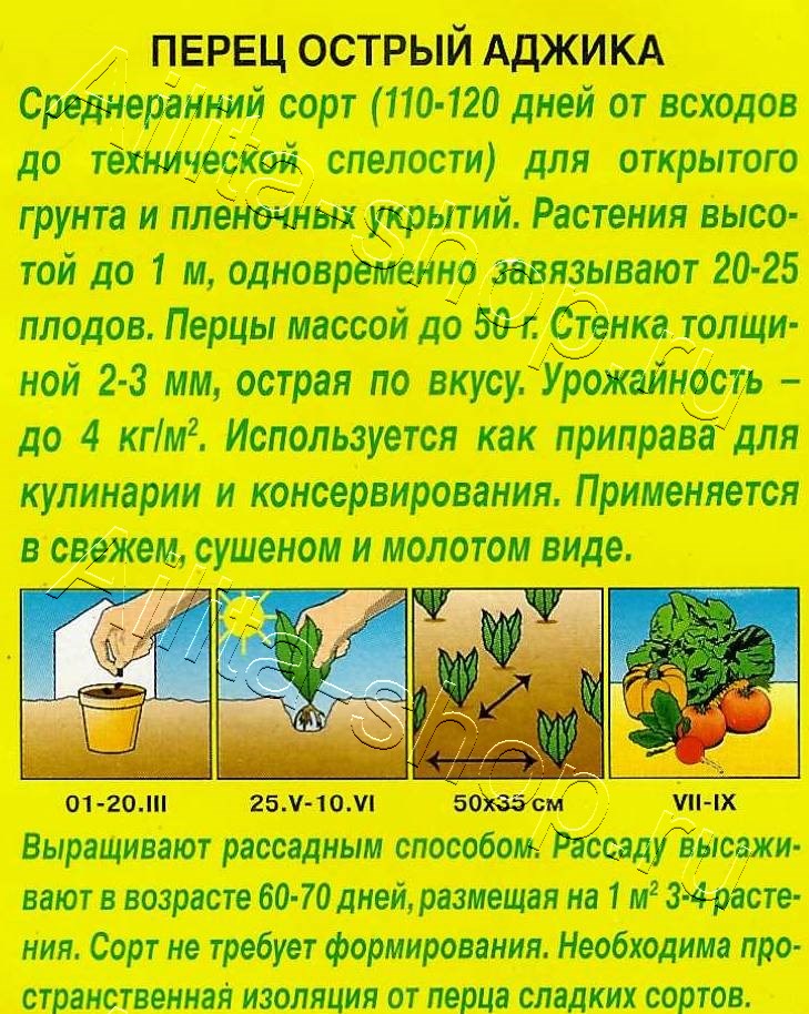 Перец острый Аджика 20шт