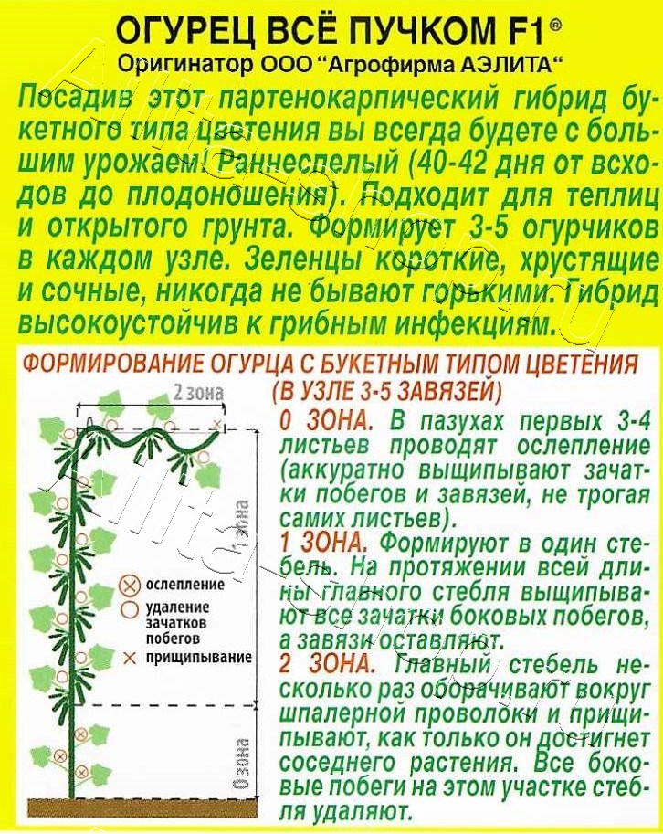 Огурец Все пучком F1 10шт