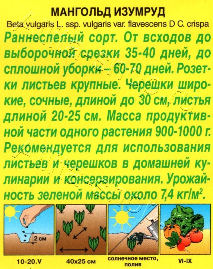 Мангольд Изумруд 1г