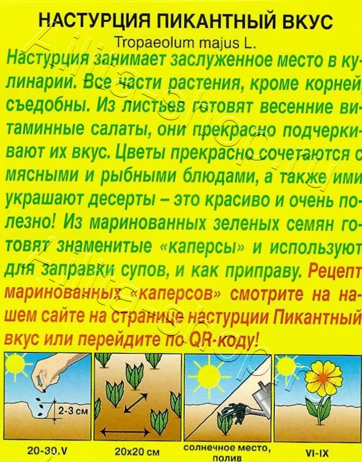 Настурция Пикантный вкус 1г