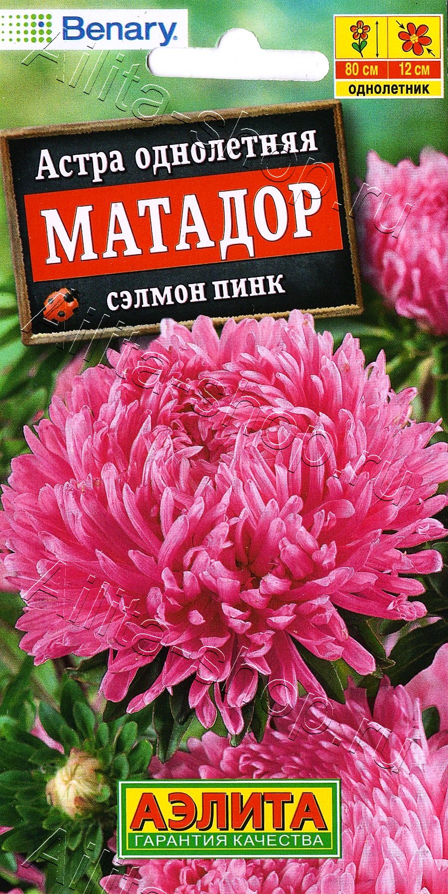 Астра Матадор сэлмон пинк 10шт