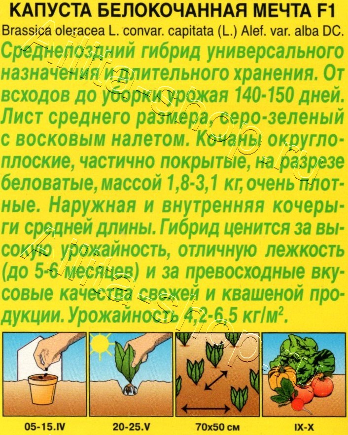 Капуста белокочанная Мечта F1 0,1г