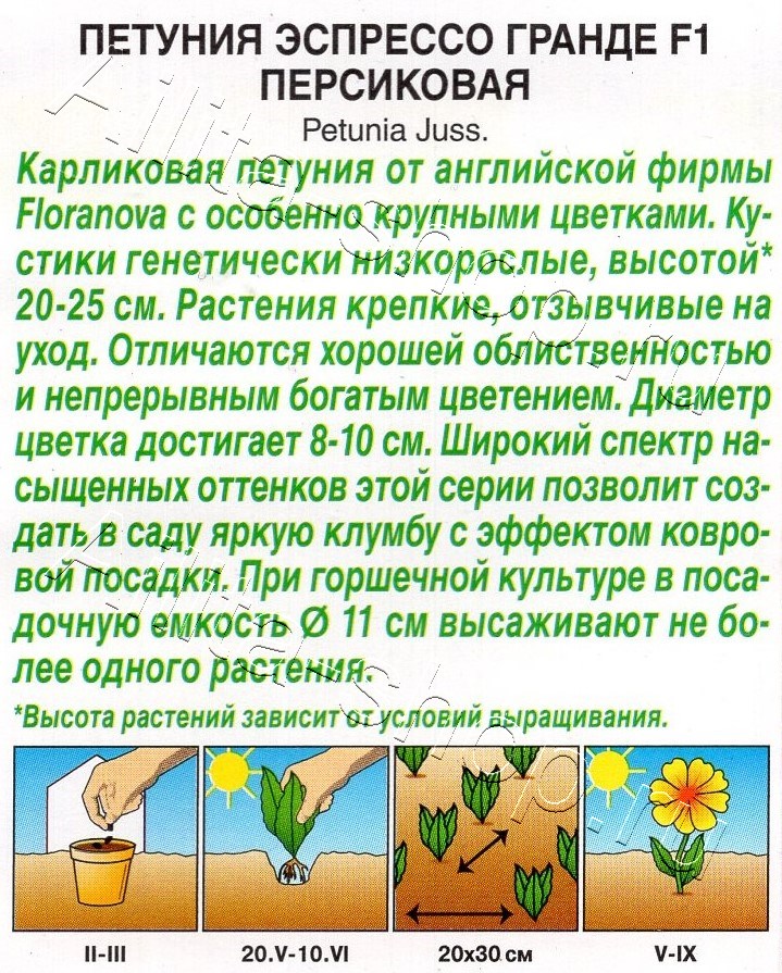 Петуния Эспрессо Гранде F1 крупноцветковая персиковая 7шт