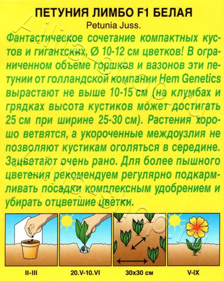 Петуния Лимбо F1 белая крупноцветковая 7шт
