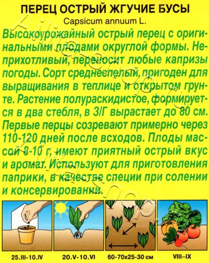 Перец острый Жгучие бусы 20шт