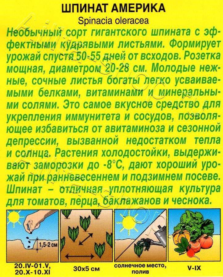 Шпинат Америка 3г