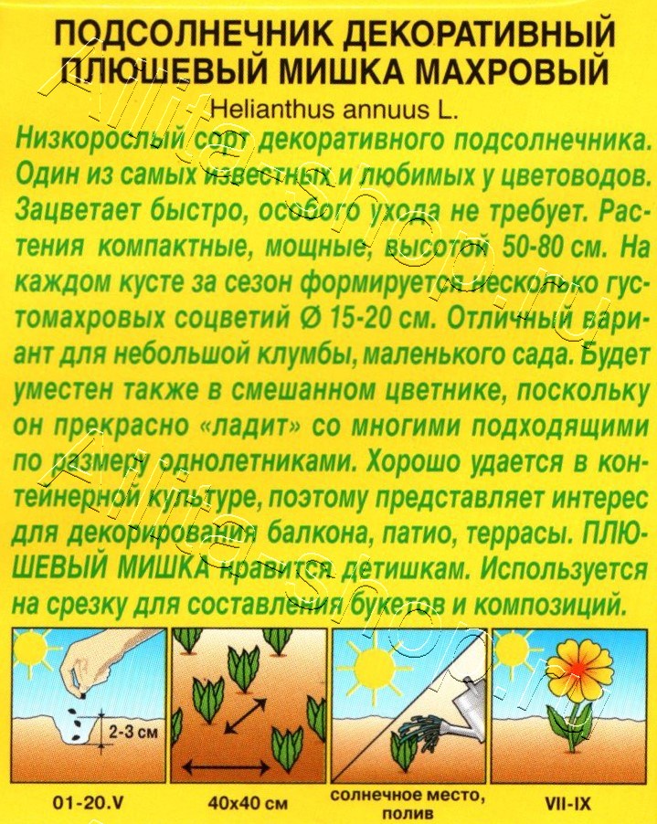 Подсолнечник махровый Плюшевый мишка 0,5г