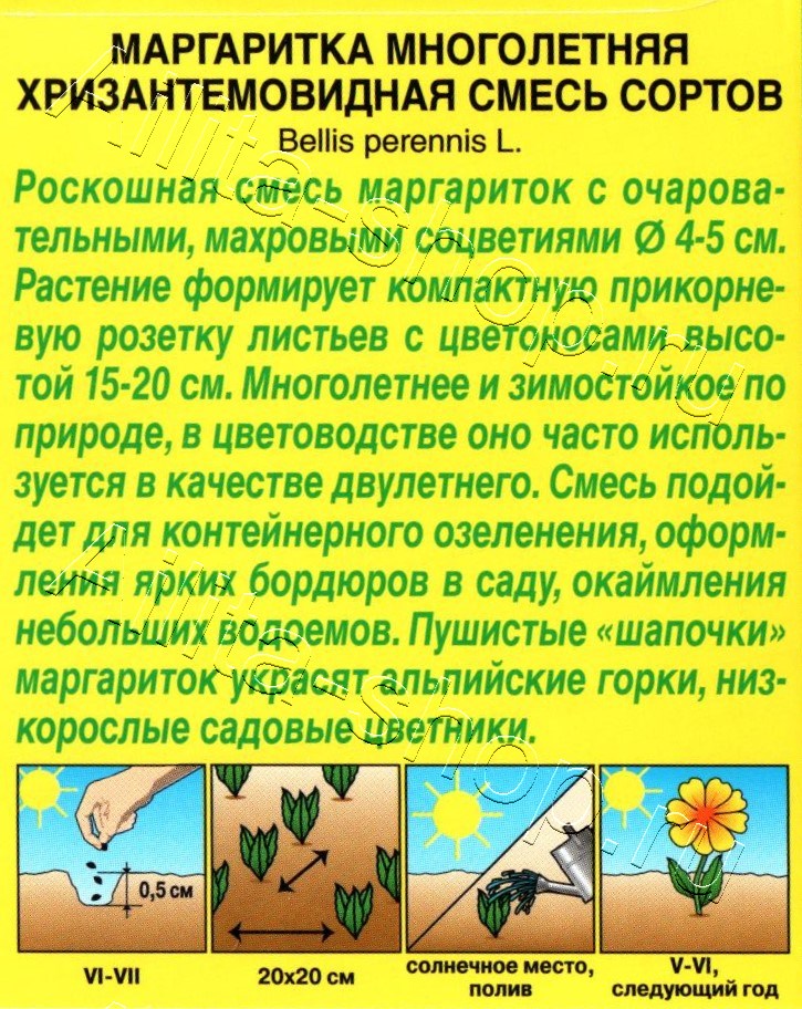 Маргаритка Хризантемовидная, смесь окрасок 0,05г