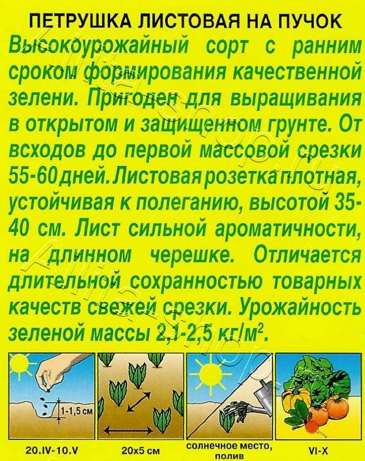 Петрушка листовая На пучок 2г