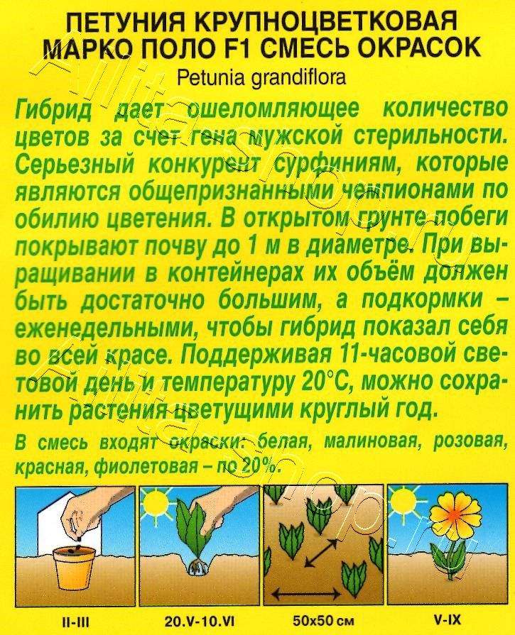 Петуния Марко Поло F1, смесь окрасок 10шт