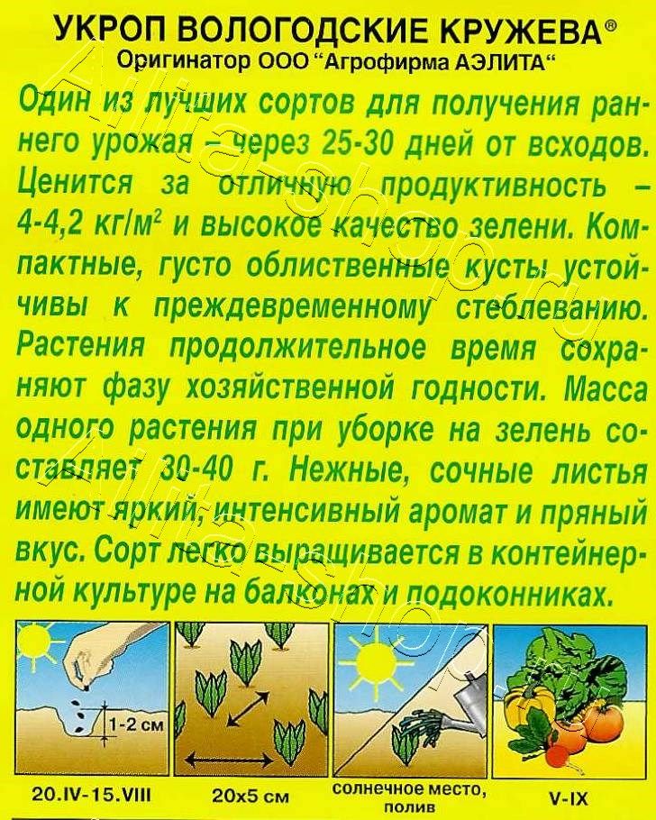 Укроп Вологодские кружева 1г