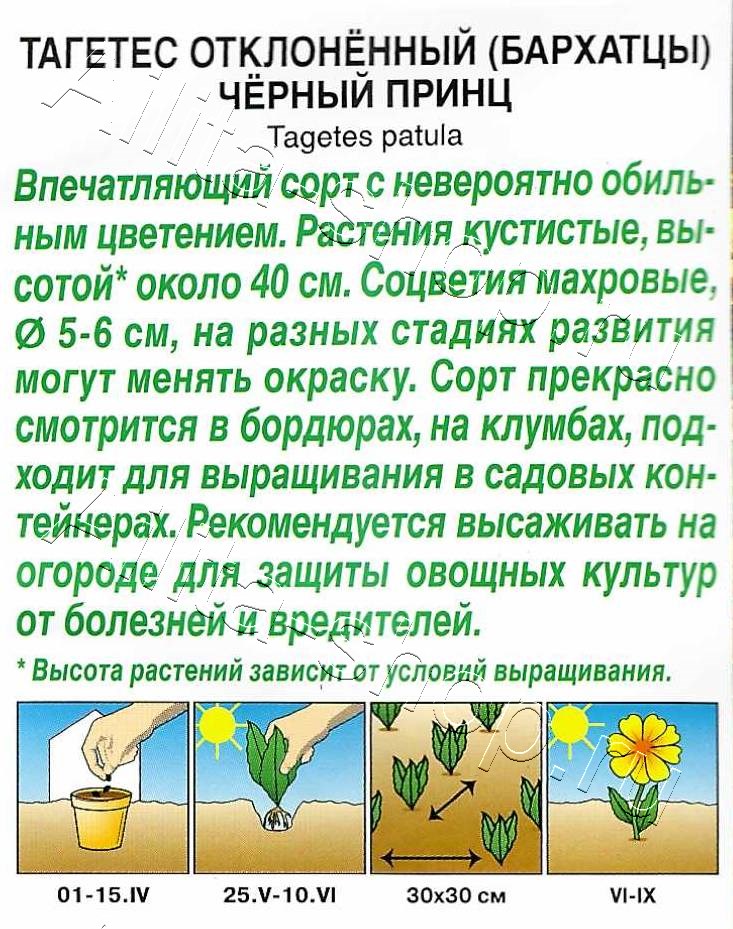 Бархатцы Черный принц отклоненные 0,3г