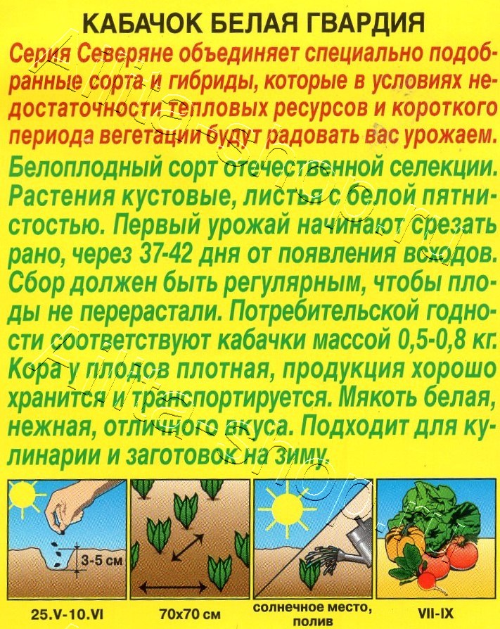 Кабачок белоплодный Белая гвардия 1г