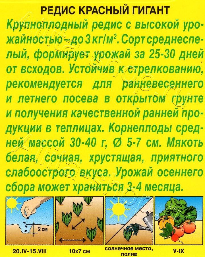 Редис Красный гигант 3г