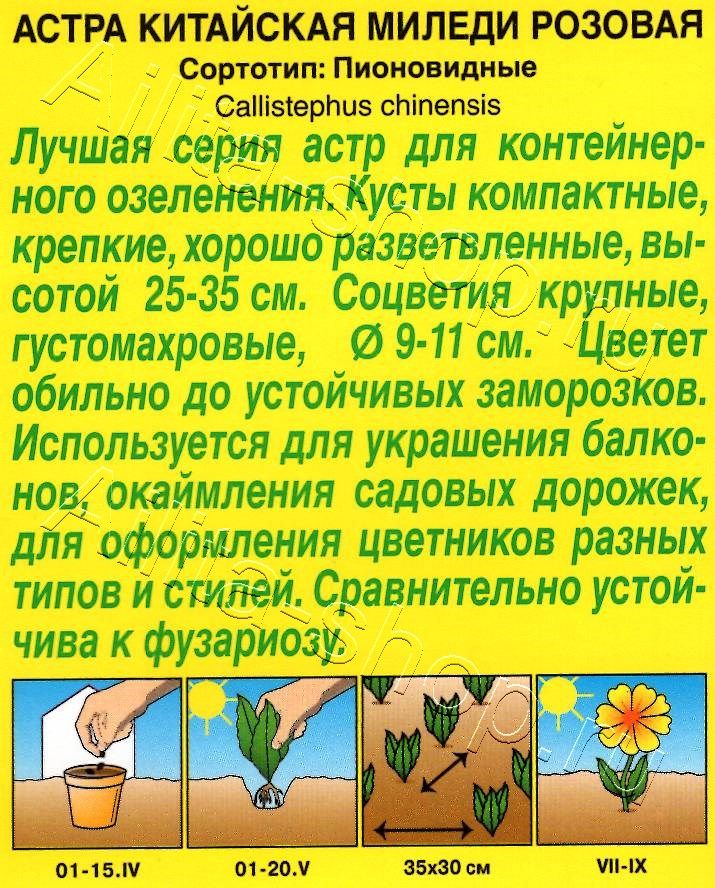 Астра Миледи розовая 0,2г