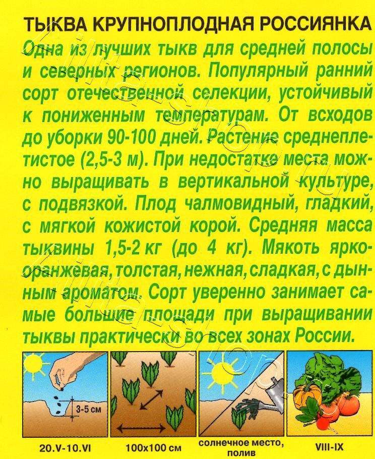 Тыква крупноплодная Россиянка 1г