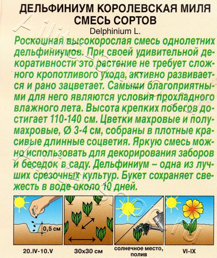 Дельфиниум Королевская миля, смесь сортов 25шт