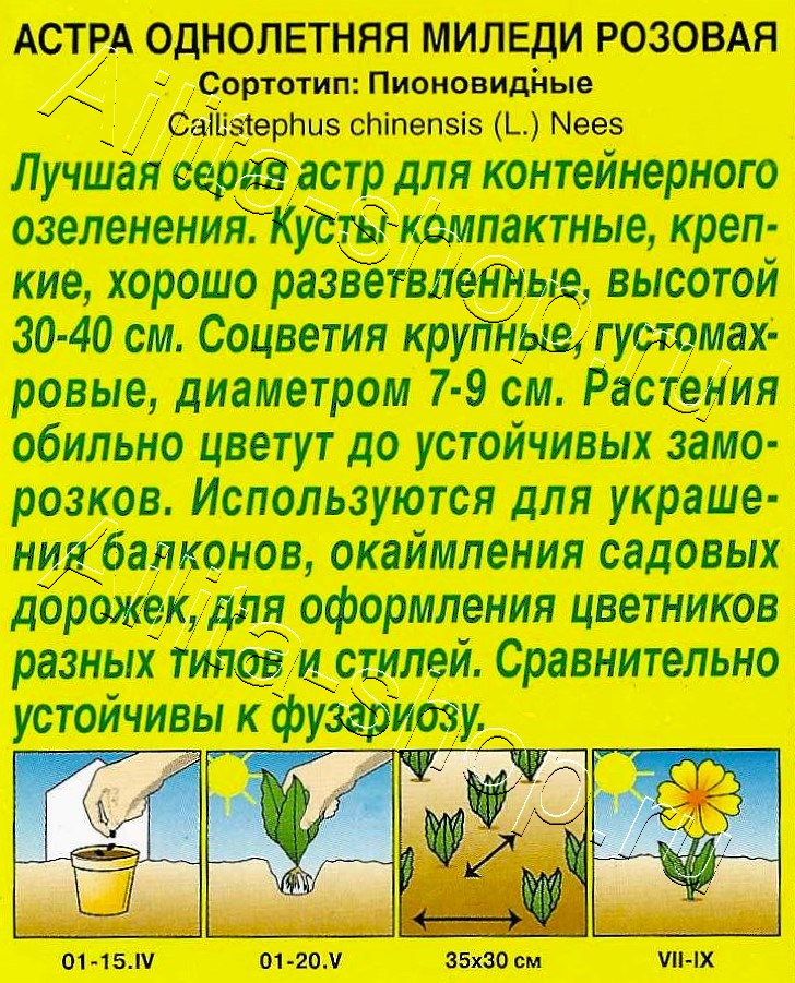 Астра Миледи розовая 0,2г