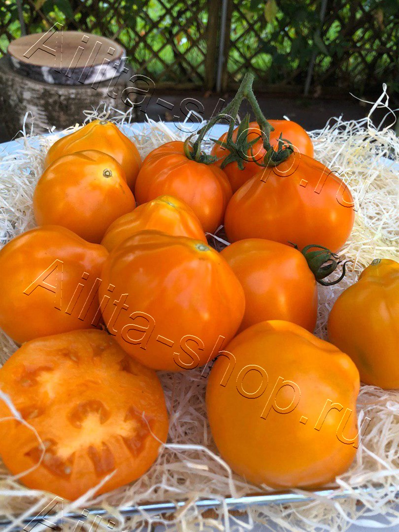 Томат Копилка 20шт