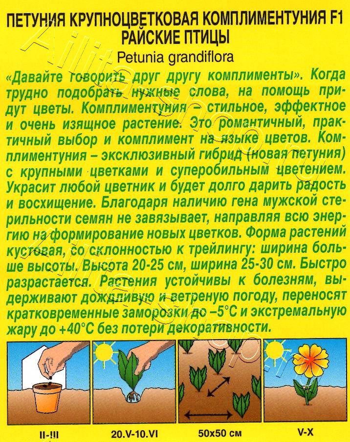 Комплиментуния райские птицы F1 крупноцветковая 10шт