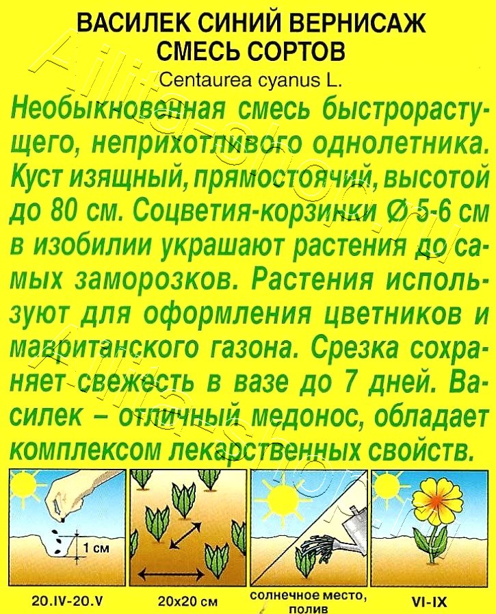 Василек Вернисаж, смесь окрасок 0,3г