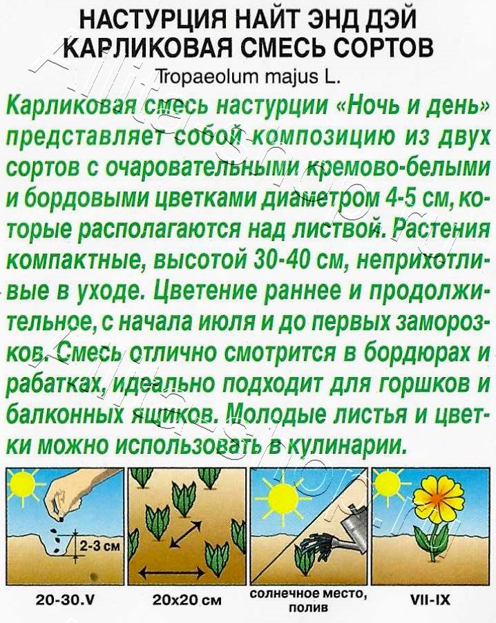 Настурция Найт энд дэй карликовая, смесь сортов 1г