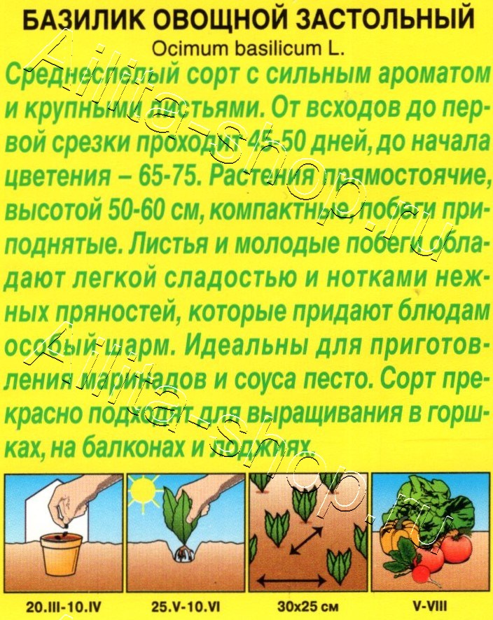 Базилик овощной Застольный 0,2г