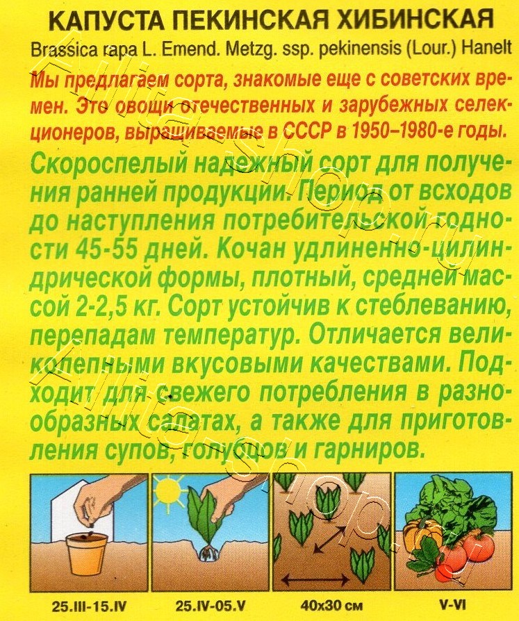 Капуста Пекинская Хибинская 0,3г