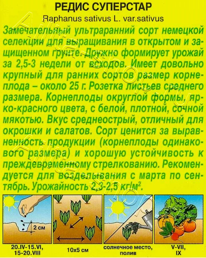 Редис Суперстар 1г