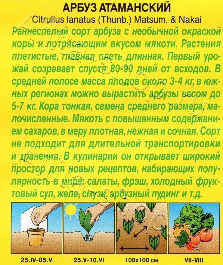 Арбуз Атаманский 1г