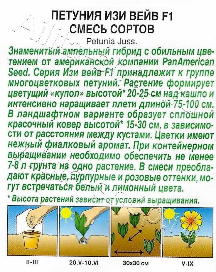 Петуния Изи вейв F1, смесь сортов 4шт