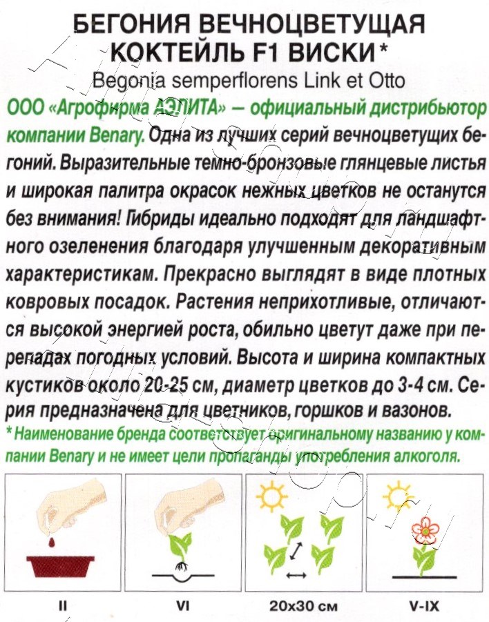 Бегония вечноцветущая Коктейль F1 виски 7шт