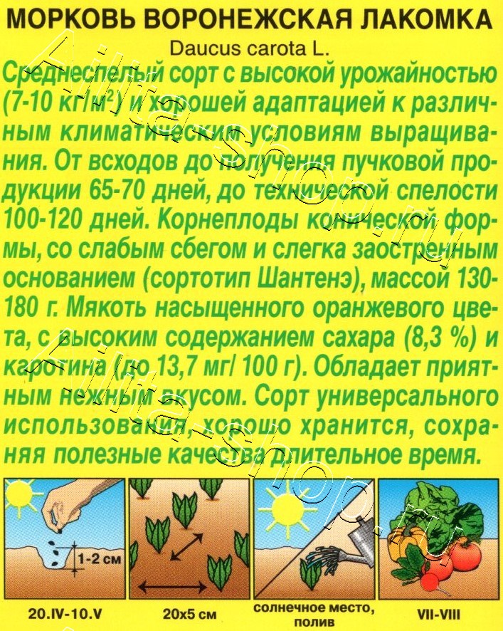 Морковь Воронежская лакомка 2г