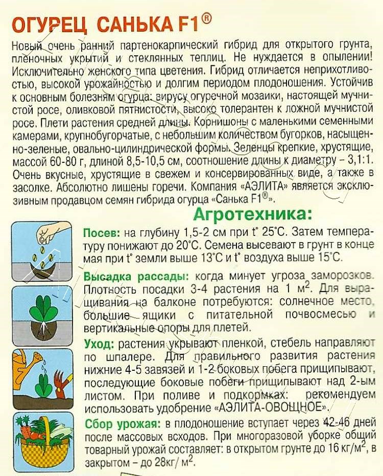 Огурец Санька F1 10шт