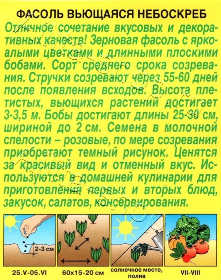 Фасоль вьющаяся Небоскреб 5г