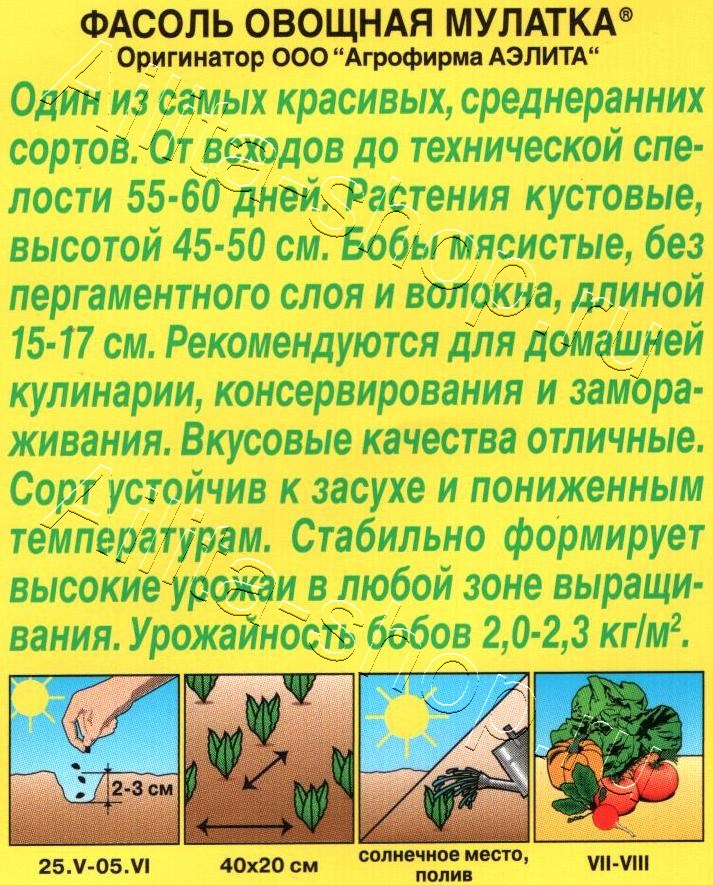 Фасоль овощная Мулатка 5г