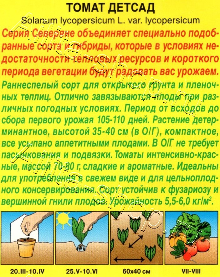 Томат Детсад 20шт
