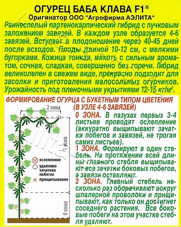 Огурец Баба Клава F1 10шт