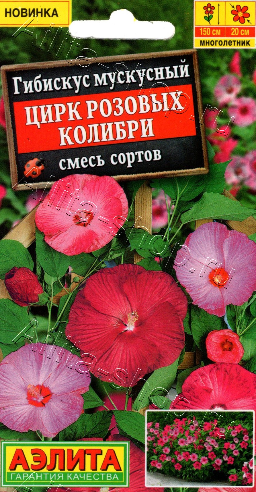 Гибискус Цирк розовых колибри 7шт