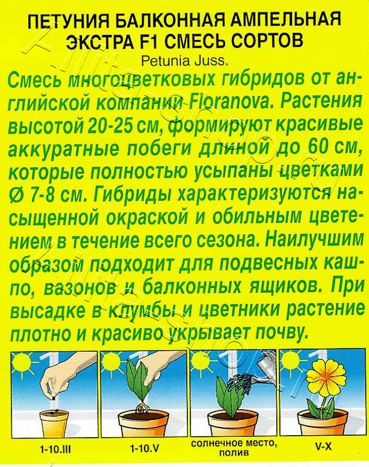 Петуния балконная ампельная Экстра F1, смесь сортов 4шт
