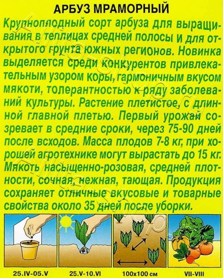 Арбуз Мраморный  1г