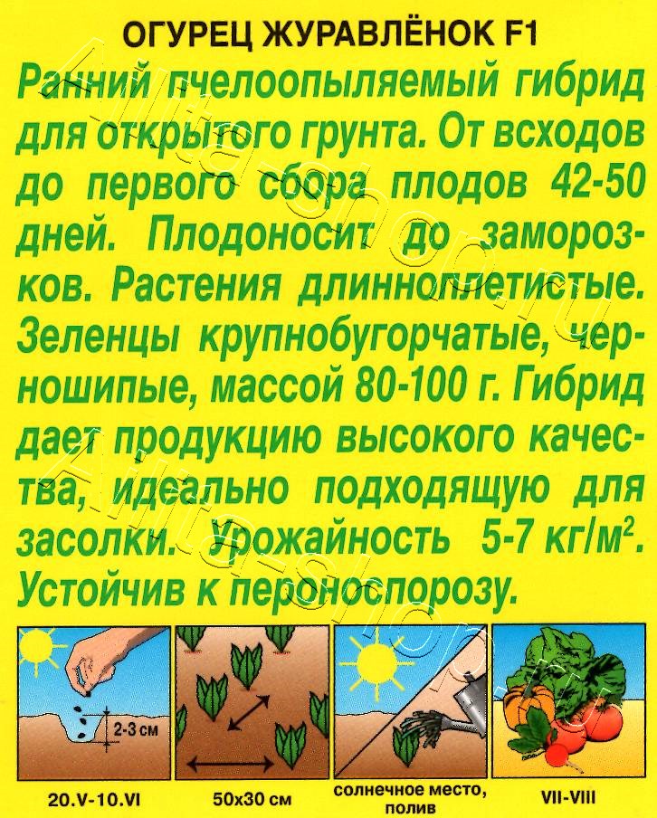 Огурец Журавленок F1 10шт