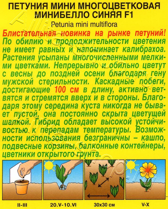 Петуния мини Минибелло F1 синяя многоцветковая 5шт