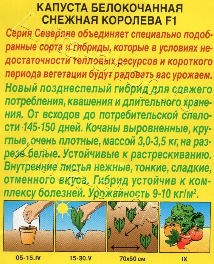 Капуста белокочанная Снежная королева F1 20шт