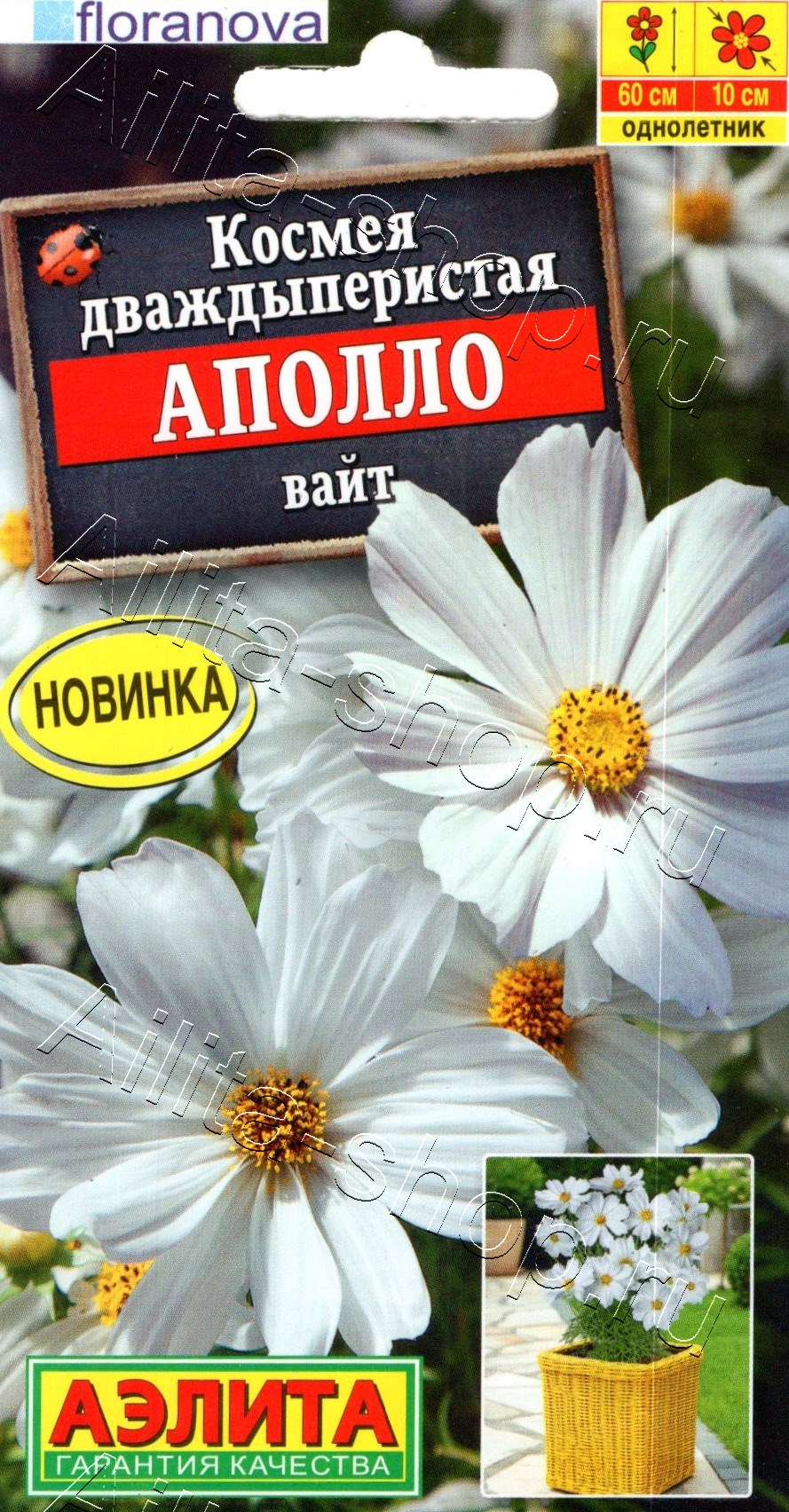 Космея Аполло вайт 5шт