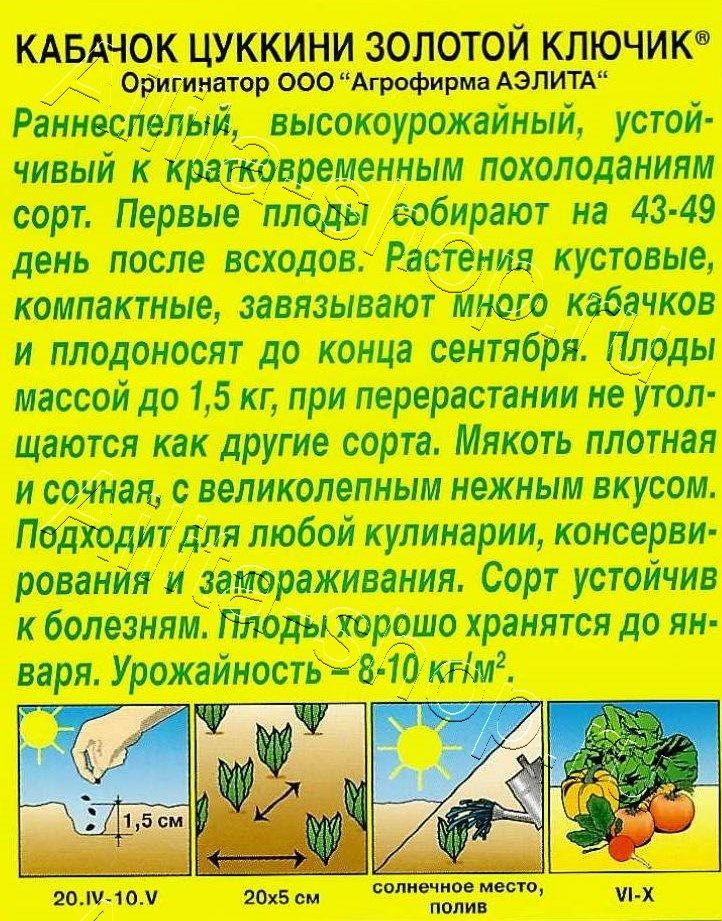 Кабачок цуккини Золотой ключик 1г