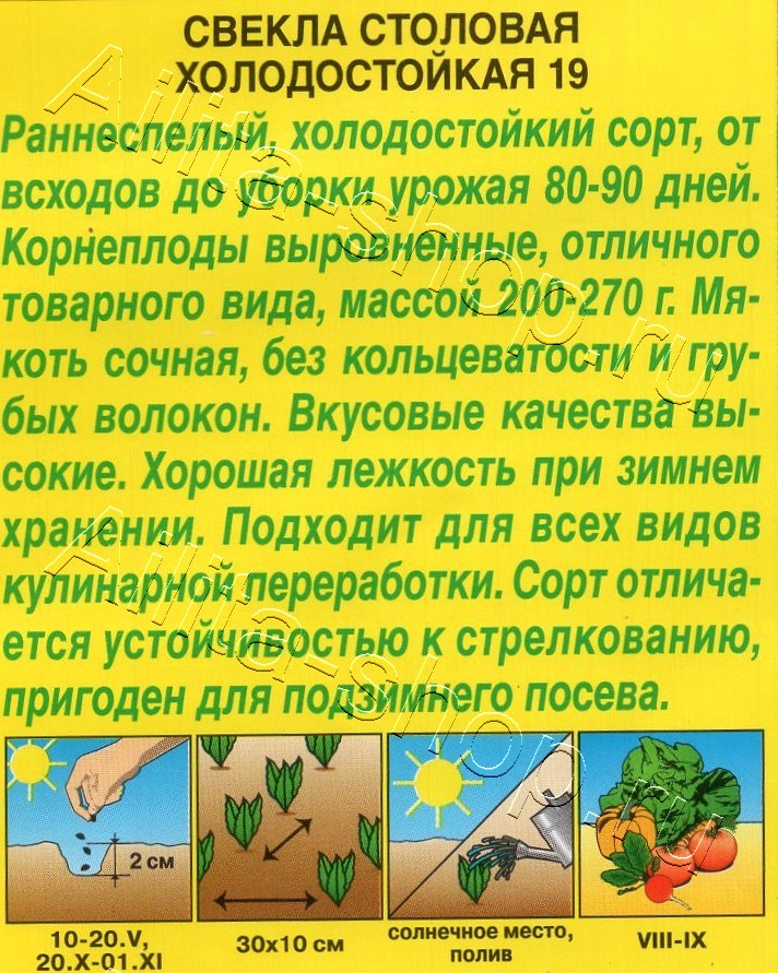 Свекла столовая Холодостойкая 19 3г